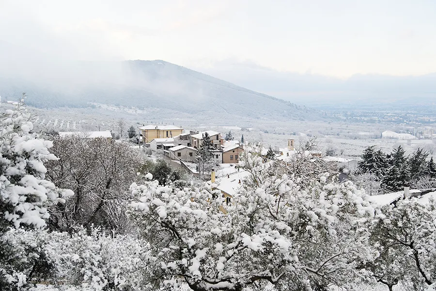 azienda agricola zucchini
